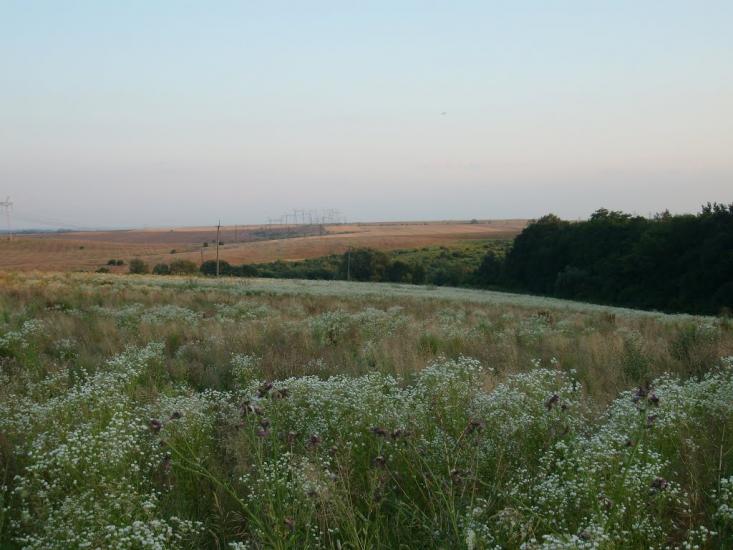 Чорний Острів з panoramio.com - Черный Остров