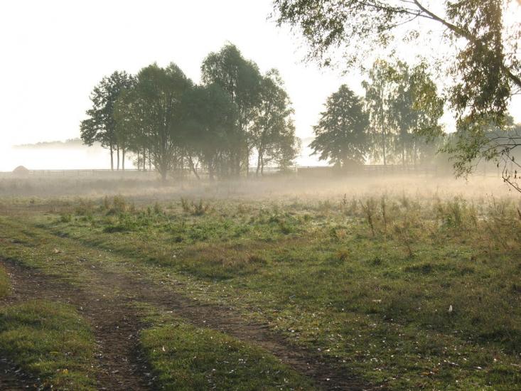 Осіч з panoramio.com - Осіч