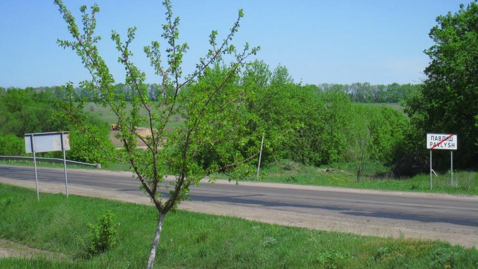 Павлиш з panoramio.com - Павлиш