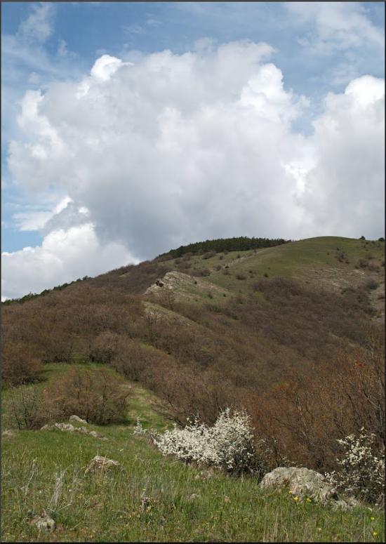 Лісне з panoramio.com - Лісне