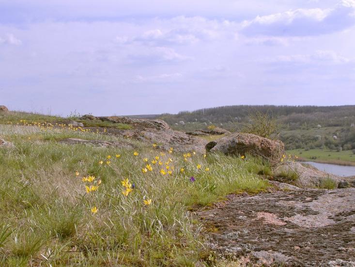 Мигія з panoramio.com - Mygiya
