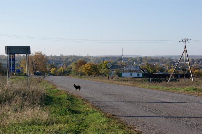 Куйбишеве з panoramio.com - Kuybisheva