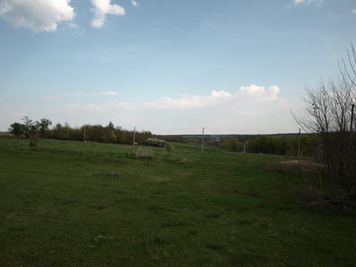 Журавлинка з panoramio.com - Журавлинка