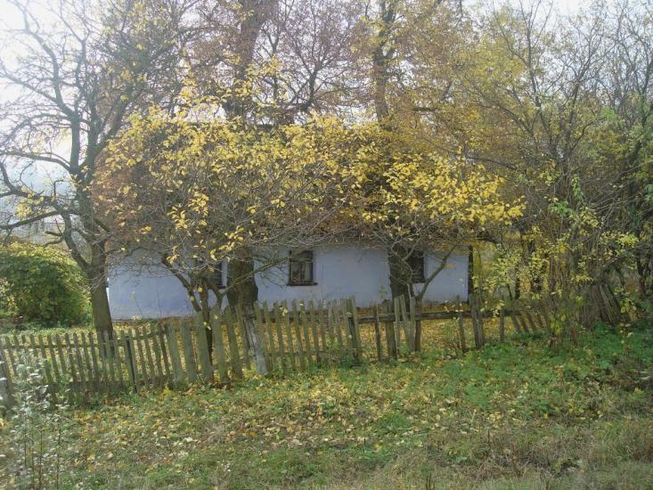 Кузьминчик з panoramio.com - Kuzmynchyk