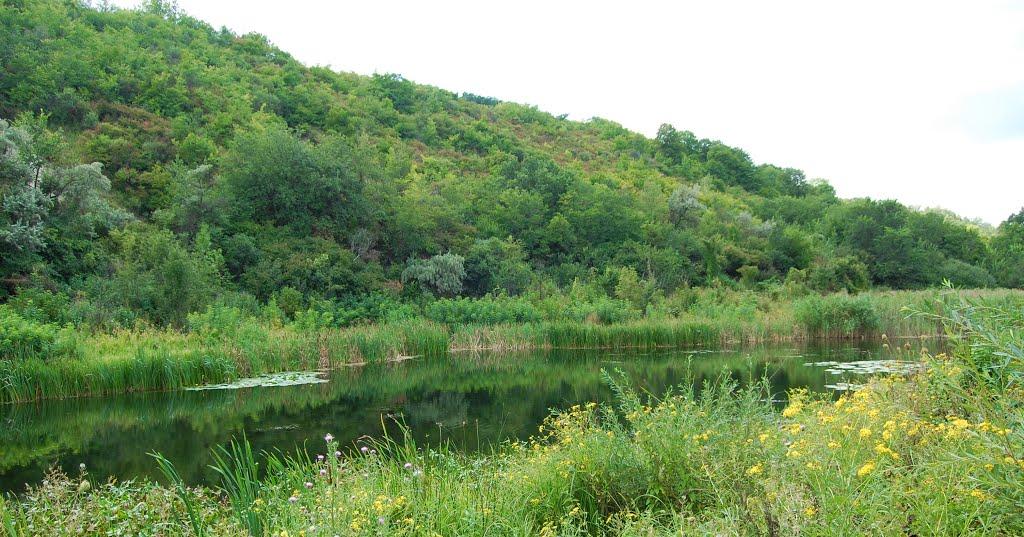 Райгородка з panoramio.com - Райгородка