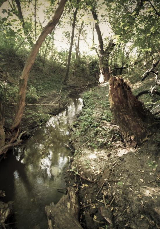 Куріпчине з panoramio.com - Kuripchyne
