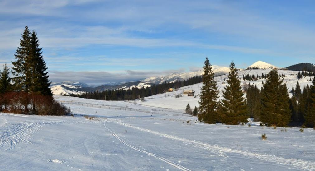 Вороненко з panoramio.com - Вороненко