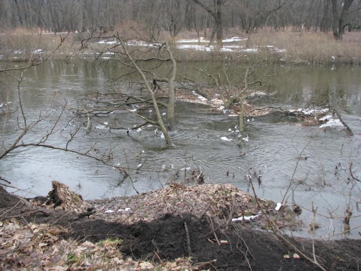 Підлісне з panoramio.com - Pidlisne