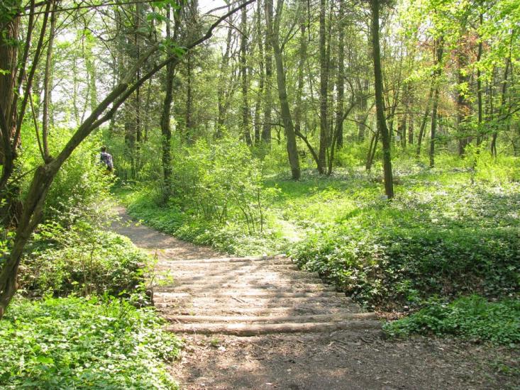 Рудки з panoramio.com - Рудки