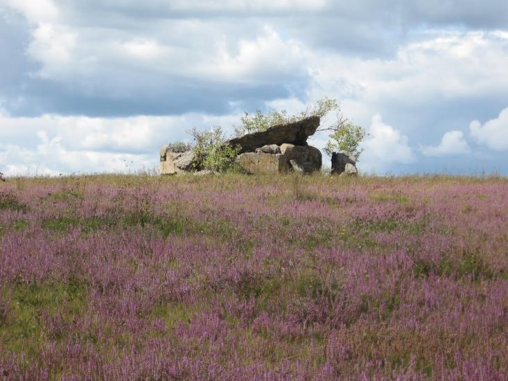 Кропивня з panoramio.com - Крапивня