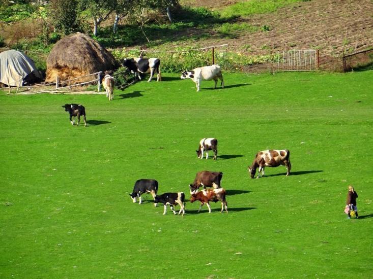 Калагарівка з panoramio.com - Калагаровка
