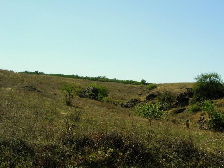 Недайвода з panoramio.com - Nedayvoda
