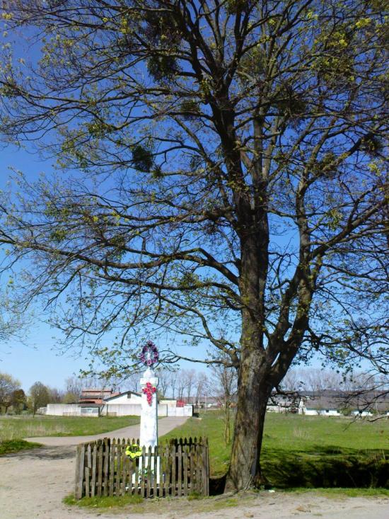 Бужок з panoramio.com - Бужок