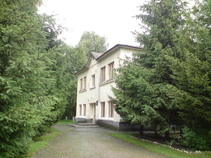 Стрілковичі з panoramio.com - Стрелковичи