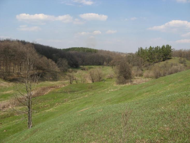 Краснокутськ з panoramio.com - Краснокутск