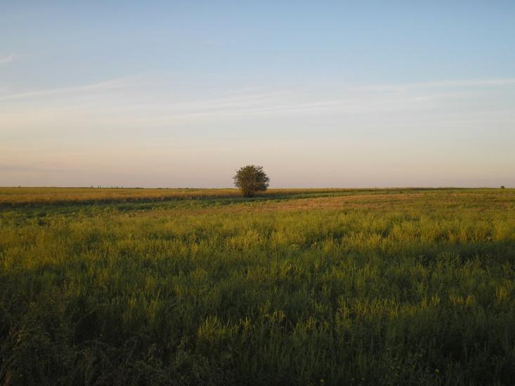 Баштанка з panoramio.com - Баштанка