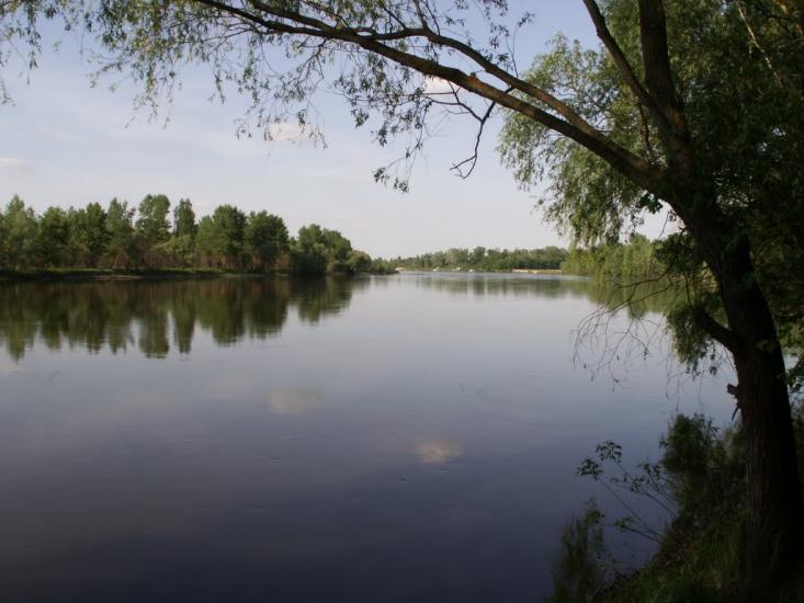 Вища Дубечня з panoramio.com - Высшая Дубечня