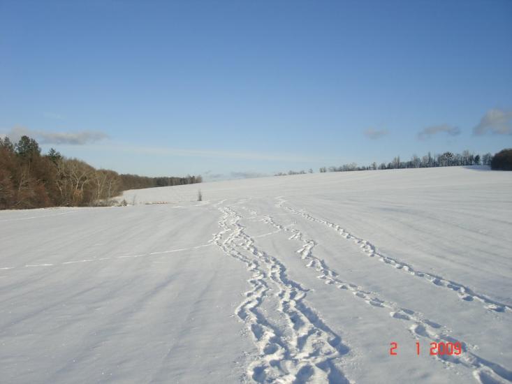Мліїв з panoramio.com - Млиев