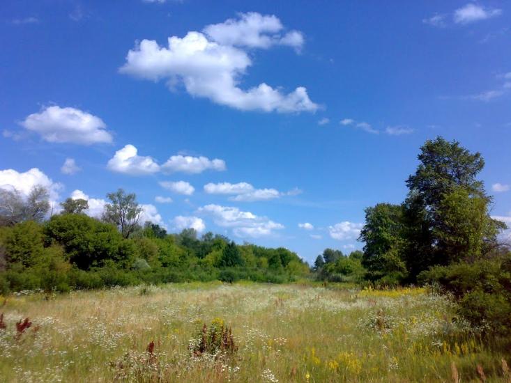 Вища Дубечня з panoramio.com - Высшая Дубечня