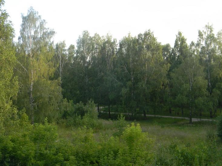 Городня з panoramio.com - Городня