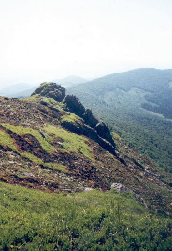 Біласовиця з panoramio.com - Bilasovytsya