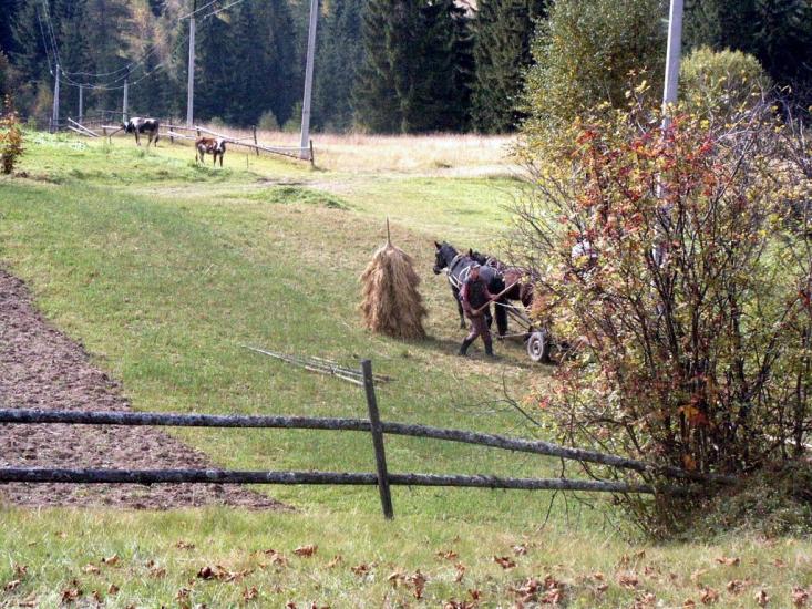 Вишків з panoramio.com - Вышков