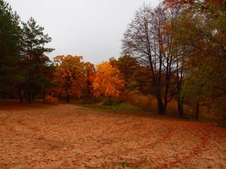 Черкаське з panoramio.com - Черкаське