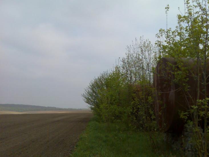 Пашківці з panoramio.com - Пашковцы