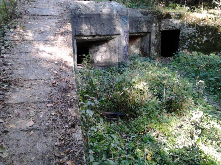 Гута-Межигірська з panoramio.com - Гута-Межигорская