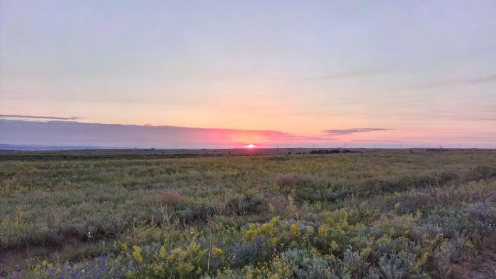 Малокостянтинівка з panoramio.com - Малоконстантиновка