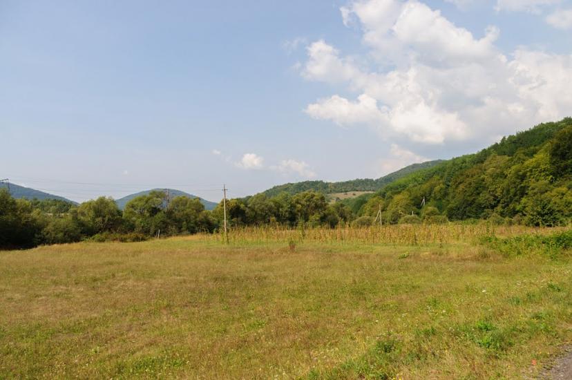 Домашин з panoramio.com - Домашин