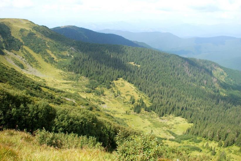 Бребоя з panoramio.com - Breboya