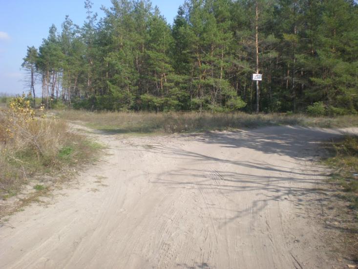 Великоолександрівка з panoramio.com - Великоолександрівка