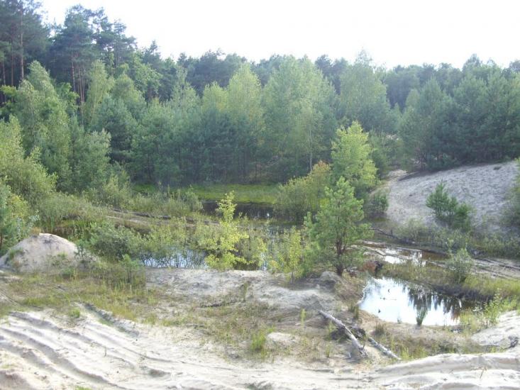 Турійськ з panoramio.com - Турийск