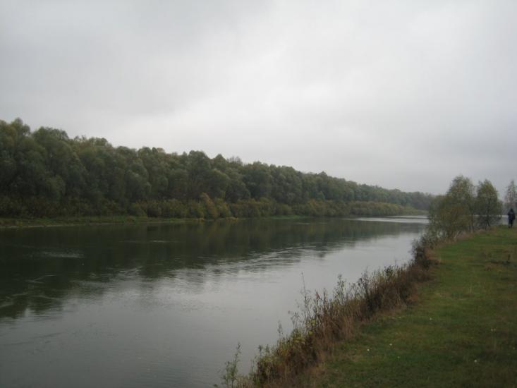 Купчичі з panoramio.com - Купчичі