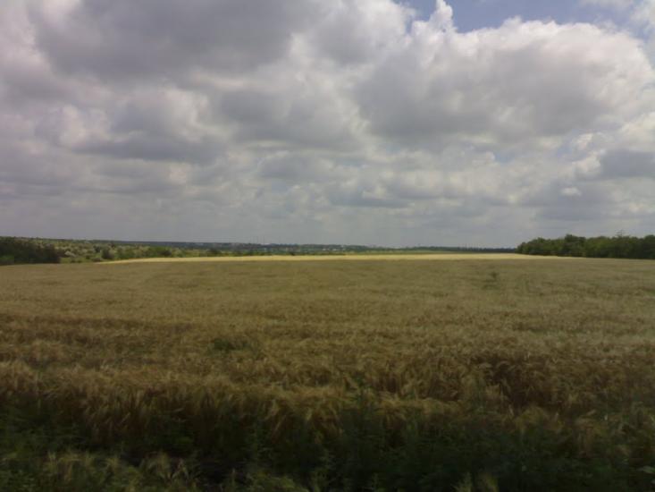 Ленінське Перше з panoramio.com - Ленінське Перше