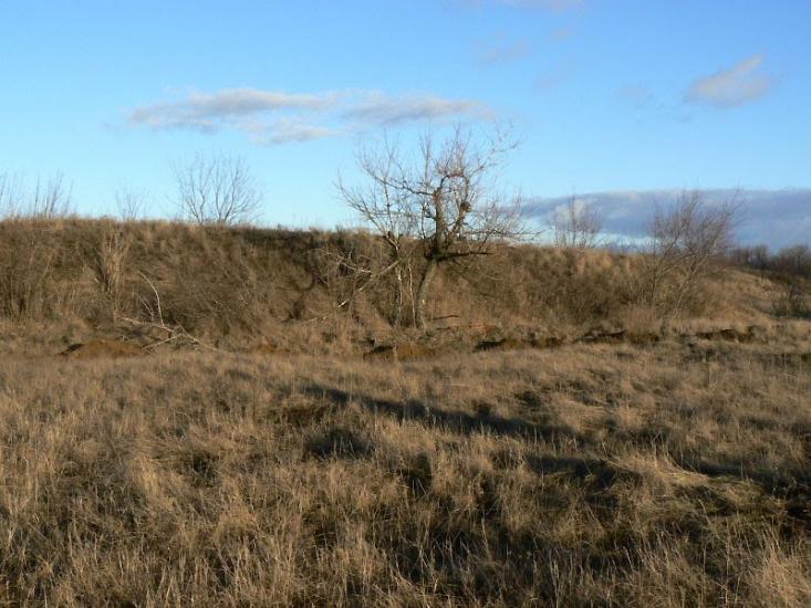 Артема з panoramio.com - Довга Балка