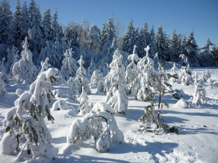 Мігово з panoramio.com - Мігово