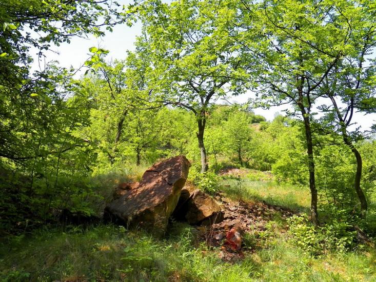 Олександрівське з panoramio.com - Александровское