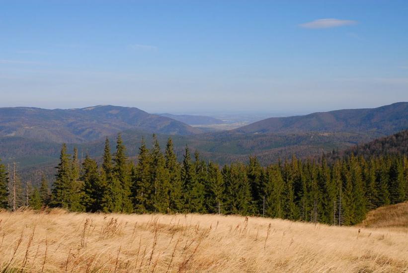Мислівка з panoramio.com - Мысливка