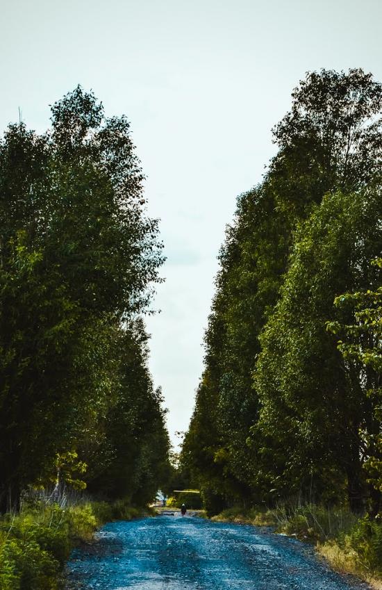 Селидове з panoramio.com - Селидово