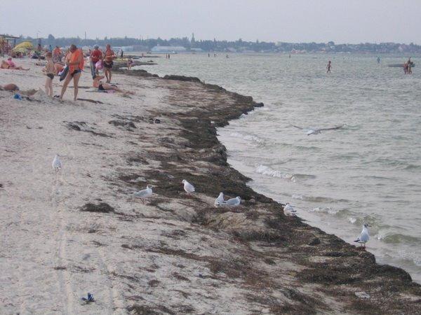 Генічеськ з panoramio.com - Геническ