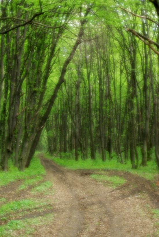 Немиринці з panoramio.com - Немиринці