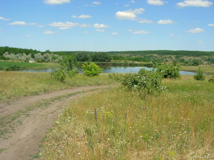 Куріпчине з panoramio.com - Kuripchyne