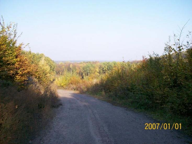 Бушеве з panoramio.com - Бушеве