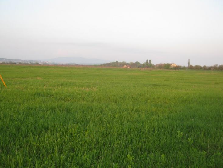 Сторожниця з panoramio.com - Сторожница
