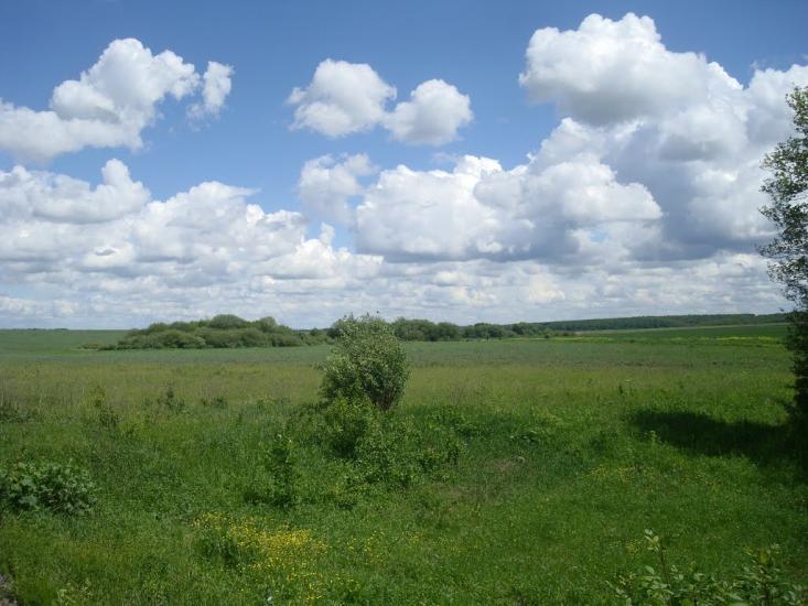 Балакири з panoramio.com - Балакири