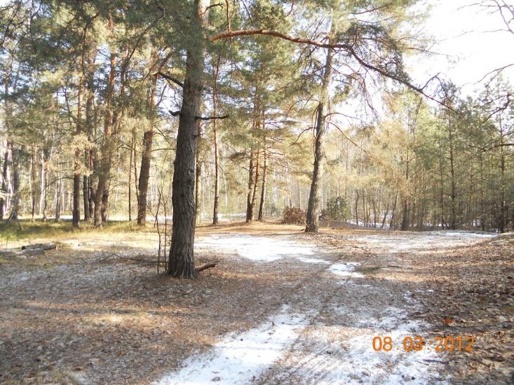 Турійськ з panoramio.com - Турийск