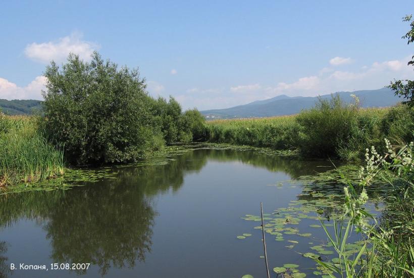 Велика Копаня з panoramio.com - Велика Копаня