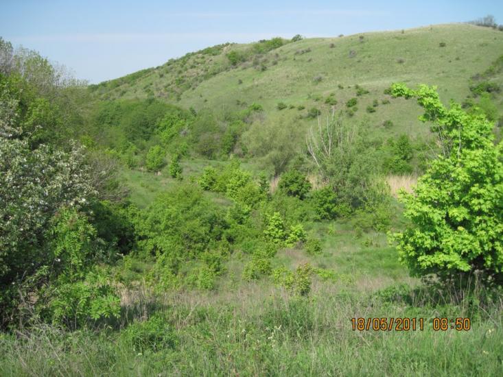 Киселеве з panoramio.com - Киселево